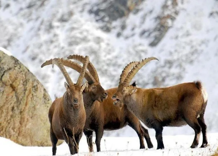 Belvilla By Oyo Grbe Trilo *